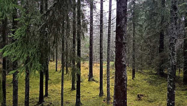 Kivojantie 40, Monninkylä, Askola