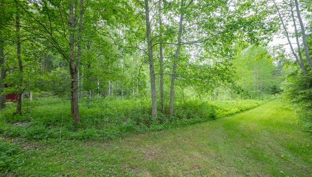 Rauhalantie 153, Röykkä, Nurmijärvi