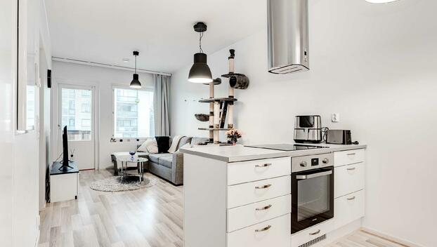 Riipuksenkatu 4, Kaukajärvi, Tampere