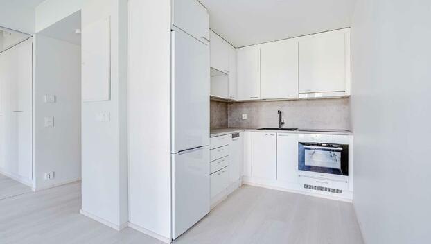 Lyyrapyrstö 1, Hervantajärvi, Tampere