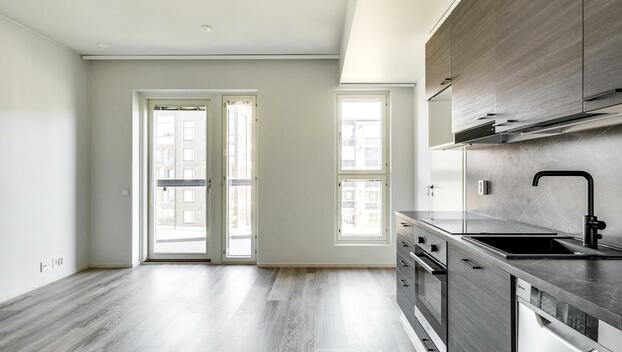 Lyyrapyrstö 1, Hervantajärvi, Tampere