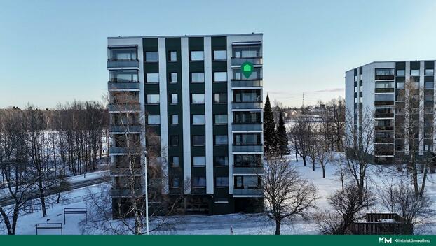 Vapaudentie 38, Palosaari, Vaasa