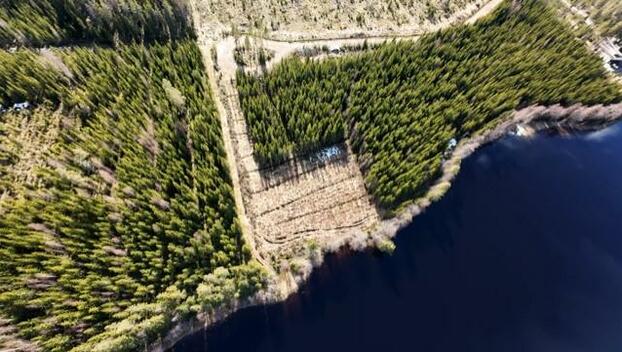 Yliharjuntie 24, Kurkimäki, Kuopio