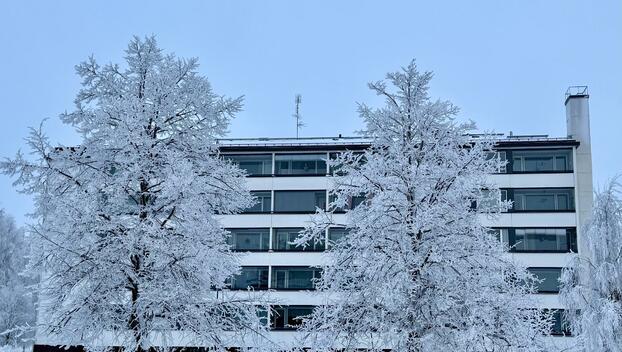 Puutarhakatu 7, Suensaari, Tornio