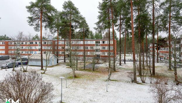 Suohaukantie 3, Kaukovainio, Oulu