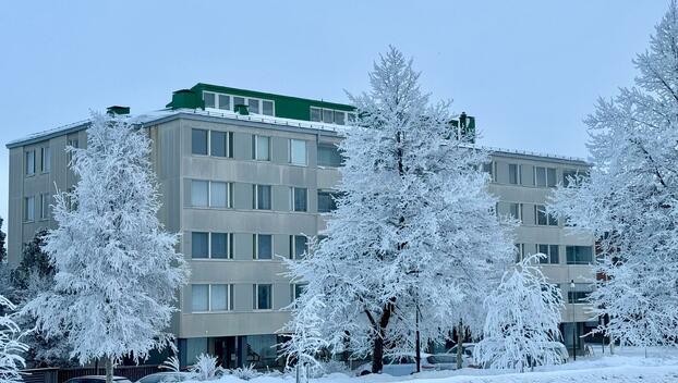 Puutarhakatu 5, Suensaari, Tornio