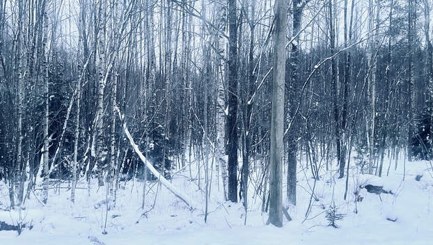 Rankilantie -, Rankila, Inkoo