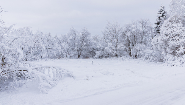 Honkapirtintie 15, Korvensuora, Oulu