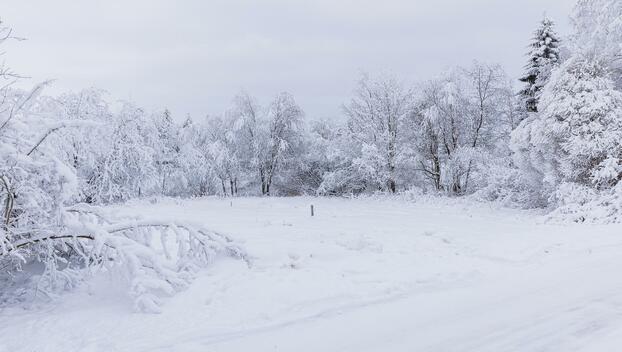 Honkapirtintie 15, Korvensuora, Oulu