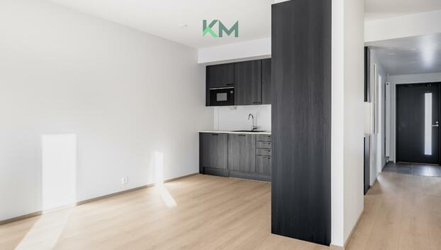 Isäntärengintie 10, Järvenperä, Espoo