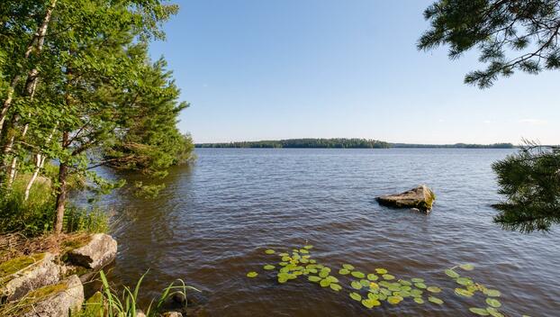 Niemeläntie 98, Säijä, Lempäälä