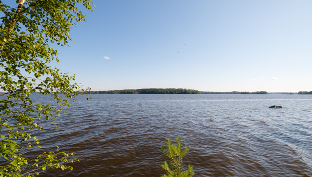 Niemeläntie 100, Säijä, Lempäälä