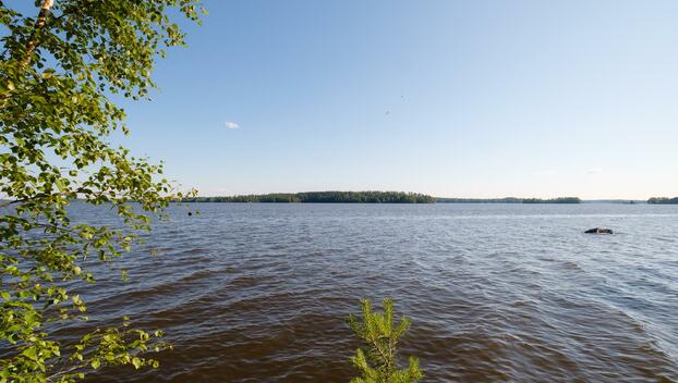 Niemeläntie 100, Säijä, Lempäälä