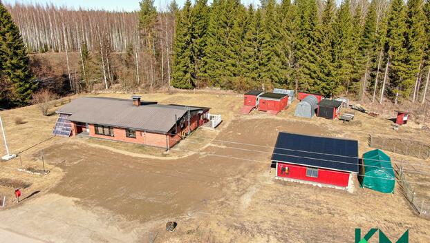 Pihlajaniemenkylätie 386, Raikuu, Savonlinna