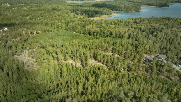 Hirsalantie 821, Långvik, Kirkkonummi