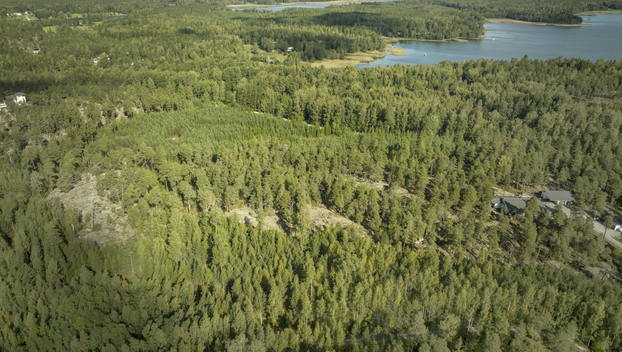 Hirsalantie 821, Långvik, Kirkkonummi