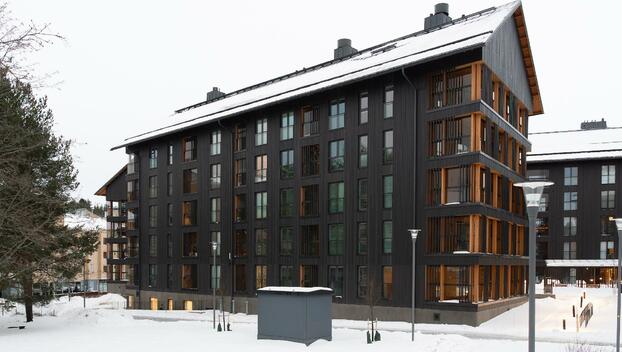 Syöttäjänkatu 6, Kuokkala, Jyväskylä