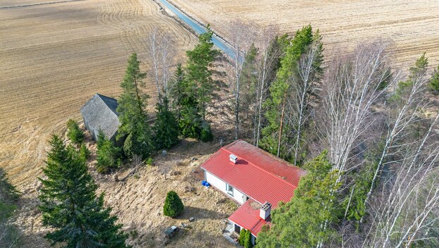 Lykkiöntie 196, Kivisenoja, Punkalaidun