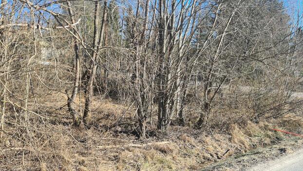 Kaunismäki 2, Kalliola, Hollola