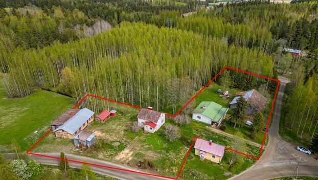 Moisiontie 10, Oriniemi, Punkalaidun