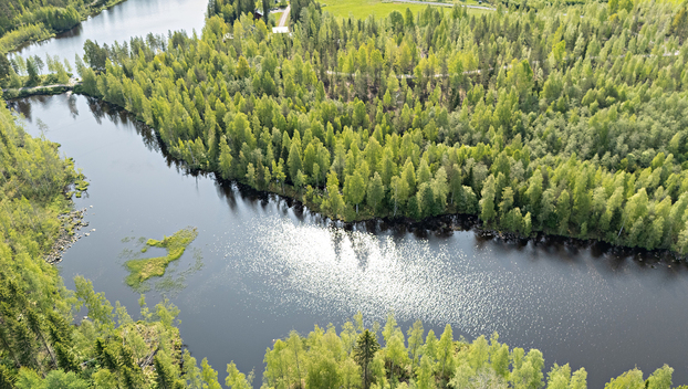 Saviniementie 123, Sotkajärvi, Utajärvi