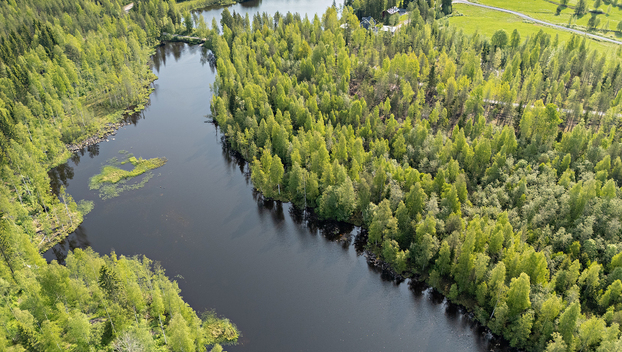 Saviniementie 125, Sotkajärvi, Utajärvi