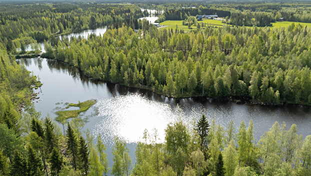 Saviniementie 127, Sotkajärvi, Utajärvi