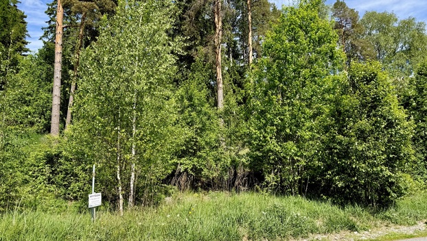 Raitatie 6, Kukostensyrjä, Hämeenlinna