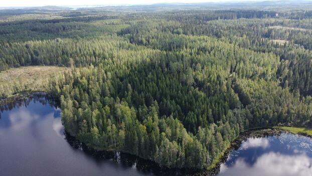 Leppävirrantie -, Räsälä, Kuopio
