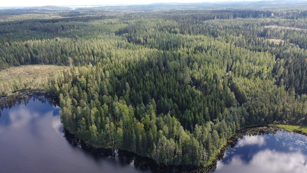 Leppävirrantie -, Räsälä, Kuopio