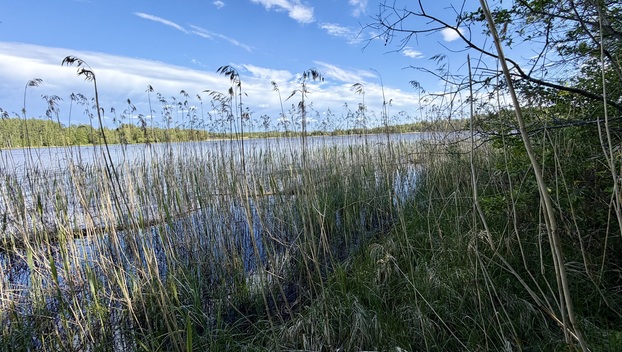 Pälkäneentie 2360, Alvettula, Hämeenlinna