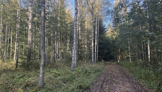 Lintumäentie 21, undefinedHämeenlinna