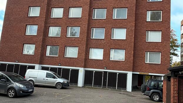 Antinpuisto 3, Päiviönsaari, Varkaus