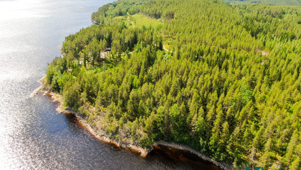 Lekotintie, Savonlinna