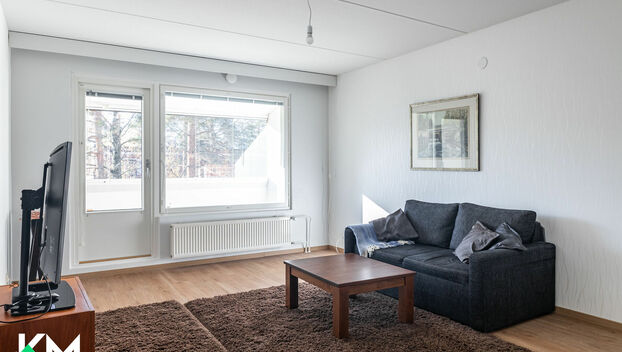 Terveystie 3, Salpakangas, Hollola