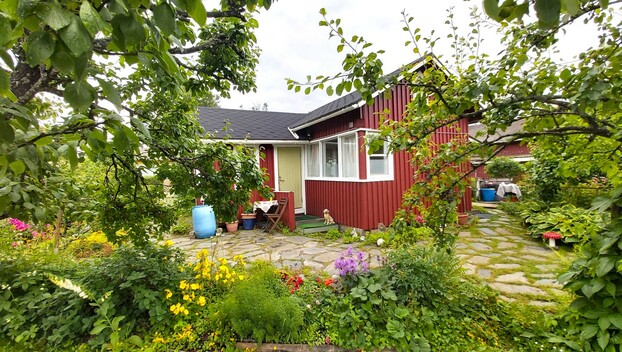 Marjaniemen Siirtolapuutarha, Omenatie 125, Marjaniemi, Helsinki