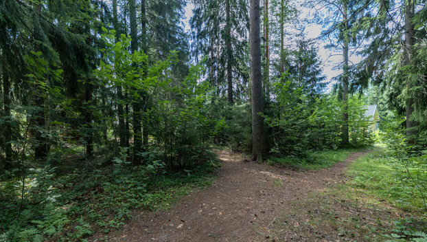 Kiesilänrinne 37, Mikkeli, Visulahti, Mikkeli