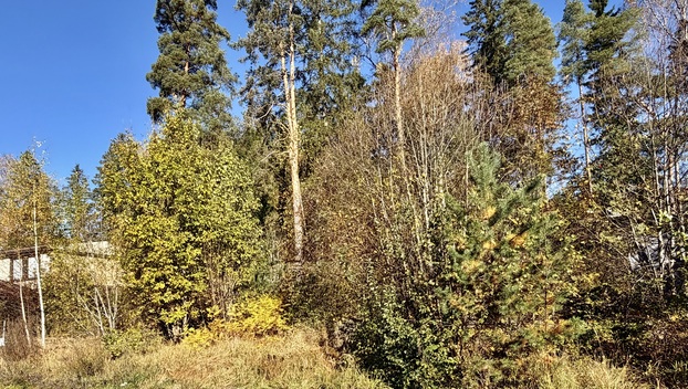 Raitatie 6, undefinedHämeenlinna