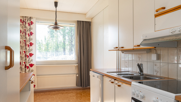 Leivonmäentie 19, Leivonmäki, Joutsa