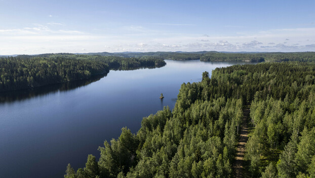 Vuohiniementie, Kangasniemi