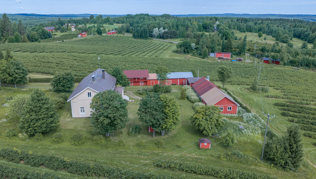 Tenkkelintie 343, Kutemajärvi, Kangasniemi