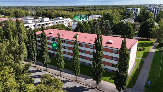 Palosaarentie 38, Palosaari, Vaasa