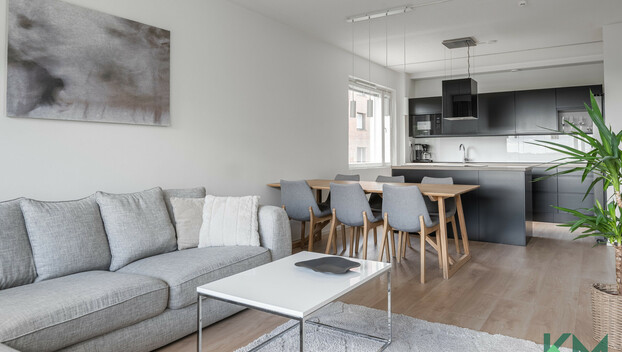 Eskonkatu 8, Nättinummi, Turku