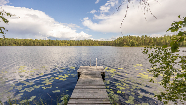 Pihlajamäentie 175, Kaidankylä, Ylöjärvi