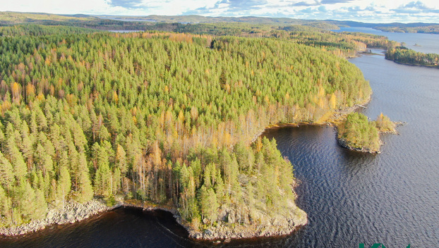 Kiurusalontie , Savonranta, Savonlinna