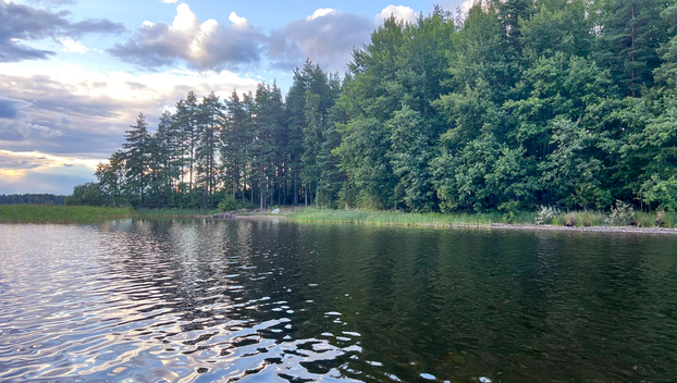 Lokkisaari, Pohjois-Kallavesi Siilinjärvi, Siilinjärvi