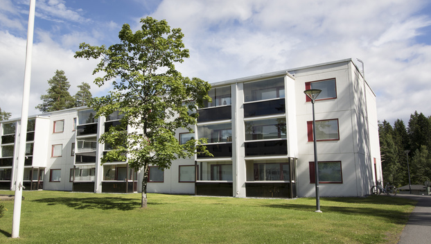 Saarijärventie 2 , Saarijärvi, Kuopio