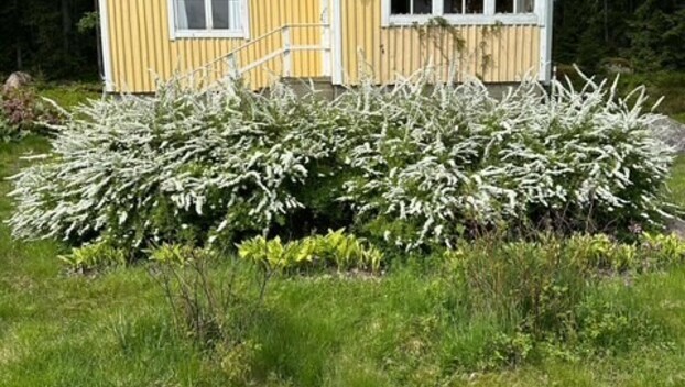 Kuorsalo 164, Mäntlahti, Hamina