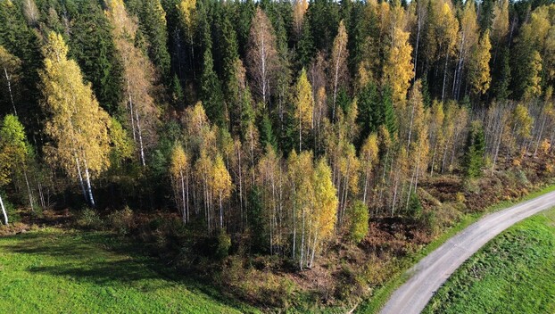 Lonkerontie, Nuppulinna, Tuusula