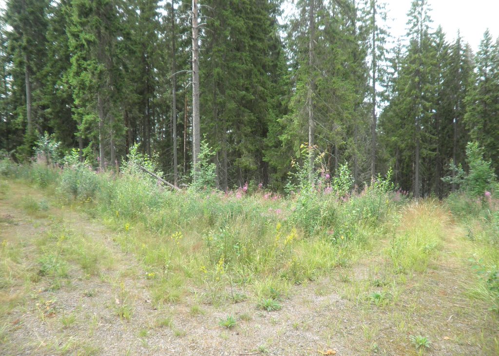 Ilkonsalontie, Vääräjärvi Salmenranta RN:o 4:55 -, Toiviala, Ruokolahti